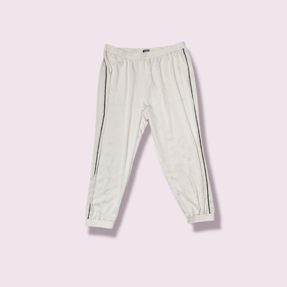 💐NWT Express Polyester Pants Size XL
